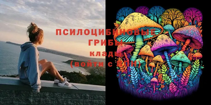 цена   Меленки  Псилоцибиновые грибы Magic Shrooms 